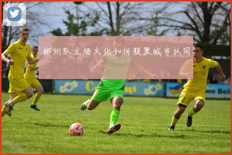 郴州队主场文化如何凝聚城市认同