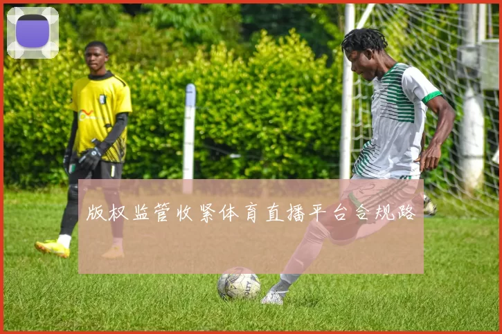 版权监管收紧体育直播平台合规路