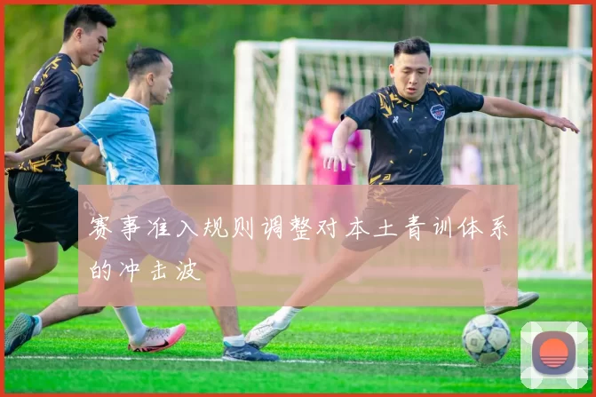 赛事准入规则调整对本土青训体系的冲击波