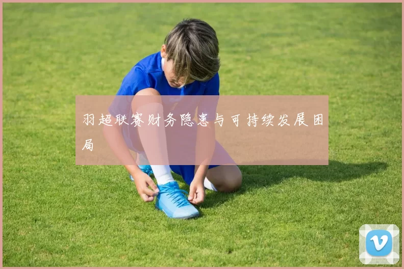 羽超联赛财务隐患与可持续发展困局